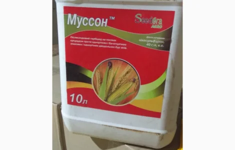 Муссон - гербіцид для боротьби з найбільш злісними бур’янами в посівах кукурудзи