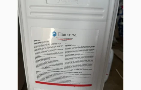 Пандора - гербіцид для захисту соняшнику та кукурудзи від комплексу бур'янів