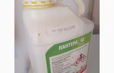 Пантера - защита от сорняков на посевах широколистных культур