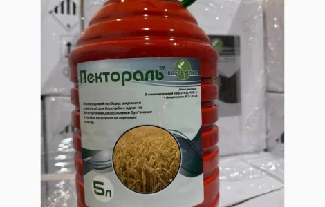 Пектораль - селективный гербицид от сорняков в посевах кукурузы