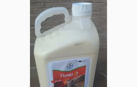 Пума Супер - гербіцид для захисту зернових культур від комплексу бурянів від BAYER