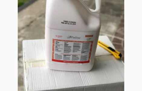 Радікс 700 - післясходовий системний гербіцид проти комплексу бур’янів в посівах буряків