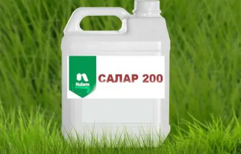 Салар - это системный селективный гербицид