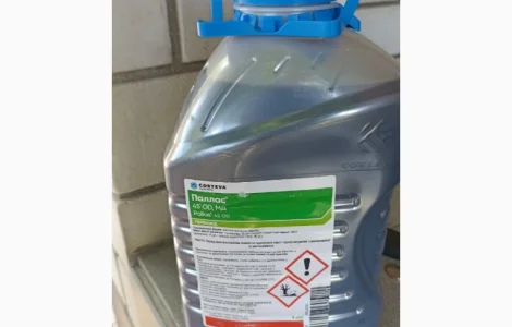 Паллас - гербіцид системної дії від бур’янів в посівах зернових