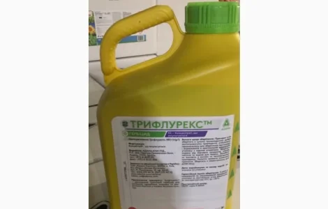 Трифлурекс - універсальний досходовий ґрунтовий гербіцид