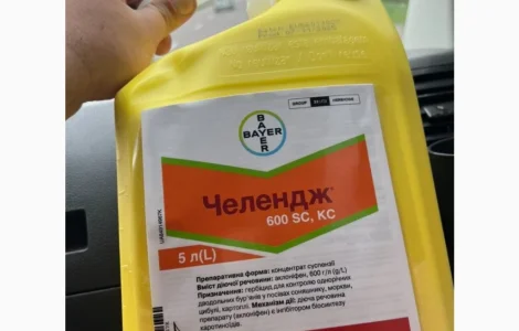 Челендж 600 - досходовий гербіцид для захисту соняшника