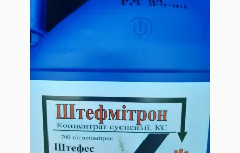 Штефмітрон - Високоселективний гербіцид для контролю бур'янів на посівах цукрового буряку