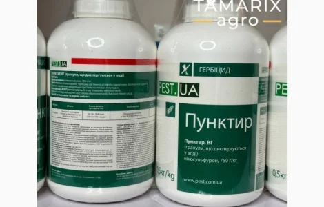 Гербіцид Пунктир (нікосульфурон) для кукурудзи