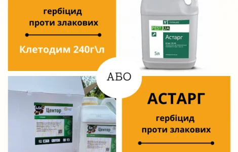 Гербицид (граминицид) против злаковых сорняков