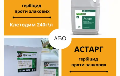 Гербицид (граминицид) против злаковых сорняков