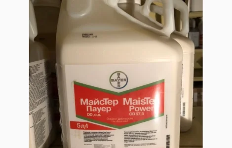 МАЙСТЕР ПАУЭР гербицид до кукурузы