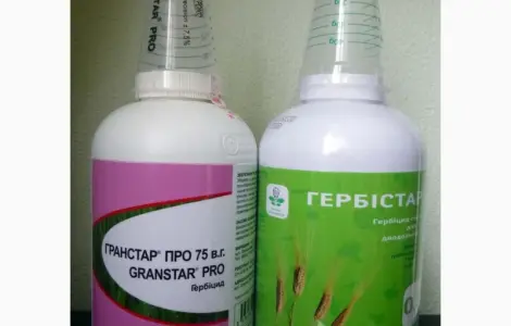 Гранстар