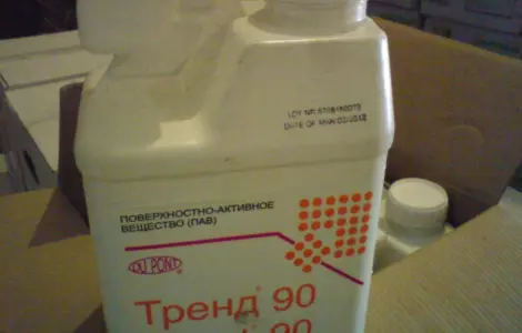 Прилипатель тренд