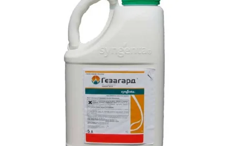 Купити гербіцид Гезагарт 500 FW