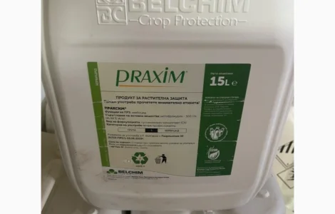 Праксим