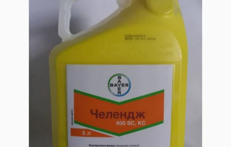 Гербицид для Подсолнечника Челендж - Байер по всходах против дводолньных сорняков