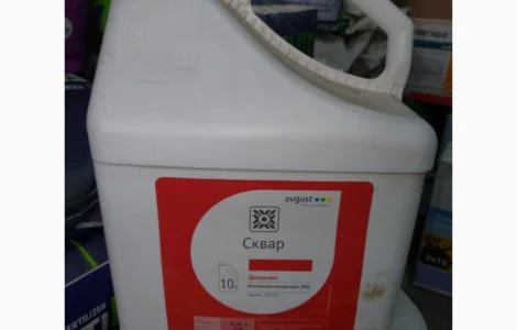 Сквар - контактный десикант для защиты картофеля