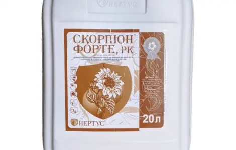 Десикант СКОРПІОН ФОРТЕ НЕРТУС (каністра 20л)