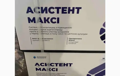 Асистент Максі – системний інсектицид з контактно-шлушковою дією з трансламінарною активні