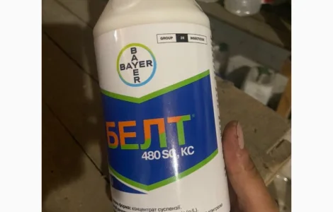 БЕЛТ - інсектицид для захисту плодових і овочевих культур від шкідників