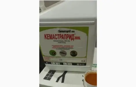 Кемастраприд -Системно-контактный инсектицид от вредителей в посевах зерновых и картофеля