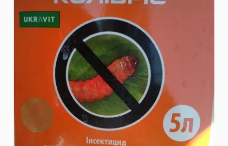 Колибри - Инновационный инсектицид против вредителей в различных культурах