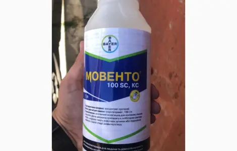 Мовенто – Інноваційний інсектицид повної системної дії