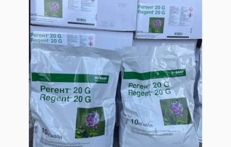 Регент 20G - защита картофеля