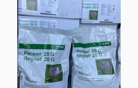 Регент 20G - захист картоплi