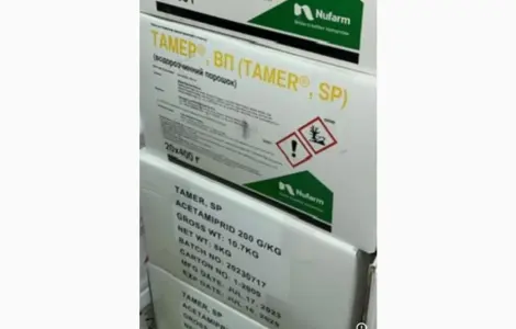 Тамер - Системный инсектицид для защиты рапса