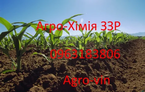 Інсектицид картопля инсектицид конфидор