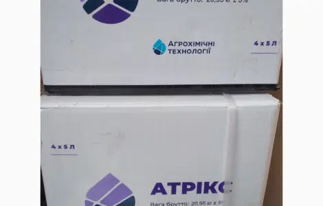 Атрікс