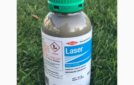 Laser 480 sc (Лазер) 0