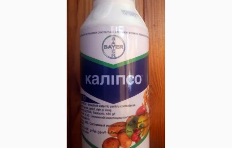 Калипсо – ефективний інсектицид для саду та городу