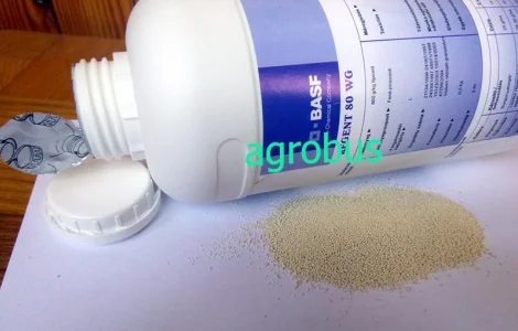 Регент инсектицид для сада и огорода