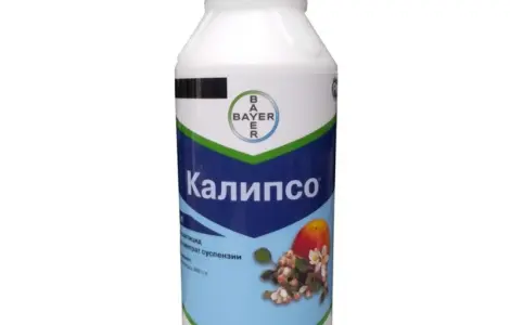 Купить инсектицид Калипсо 480