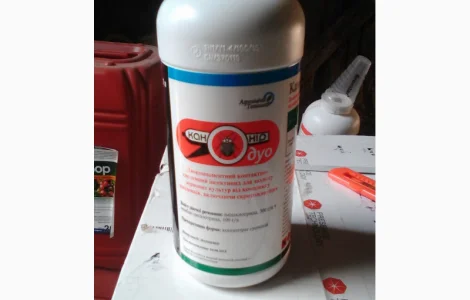 Канонір Дуо