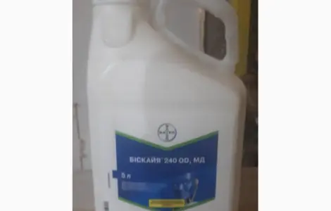 Инсектицид Бискайя Bayer Crop