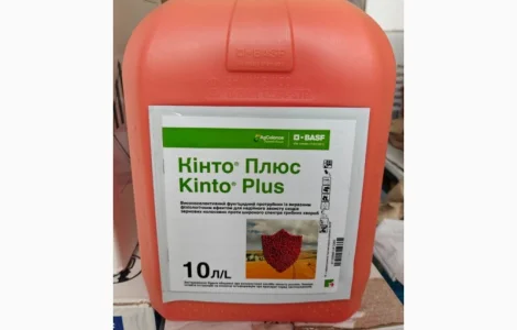 Кінто Плюс - фунгіцидний протруйник для захисту сходів зернових колосових