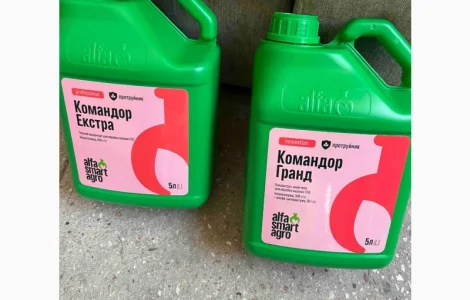 Командор Екстра - протравник для Зернових