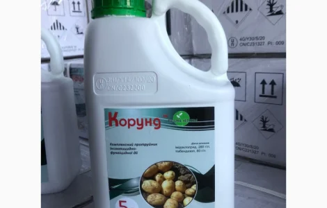 Корунд - інсектицидно-фунгіцидний протруйник насіння картоплі