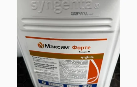 Максим Форте 050 - протравитель семян зерновых для защиты от корневых гнилей