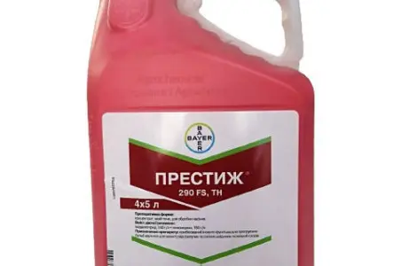 Престиж 290 FS - протравитель семян картофеля