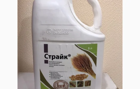 Страйк - Фунгицидный протравитель семян зерновых колосовых культур