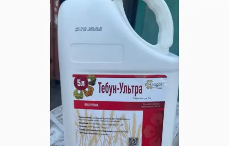 Тебун-Ультра - Системный протравитель семян зерновых колосовых от заболеваний