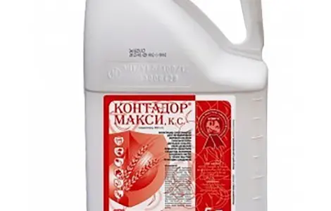 Протравитель Контадор макси (гаучо плюс)