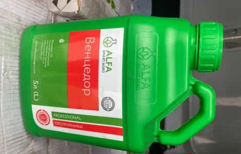 Венцедор протруйник