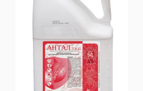 Антал - протруйник системної дії для обробки насіння зернових. Дніпропетровська обл