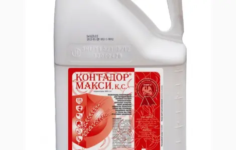 Протравитель семян системного действия (инсектицид) Контадор Макси