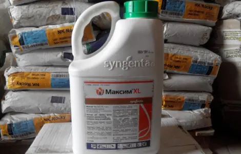 Купить протравитель Максим XL